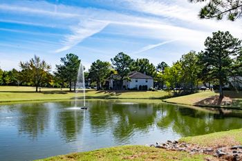 Community pond 